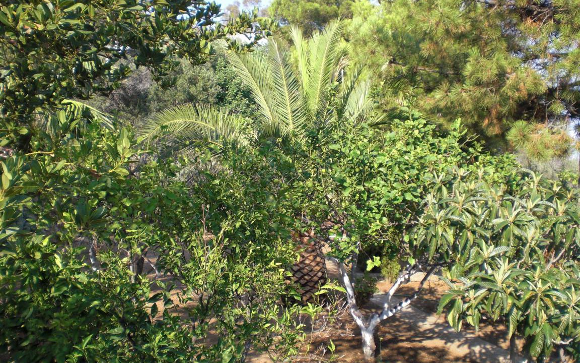 Photo of Others in Panarea