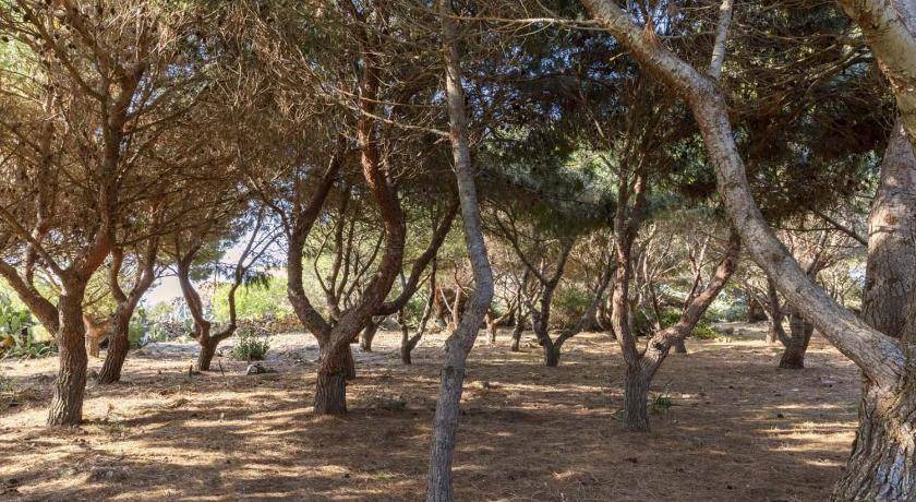 Photo of Outdoor in Favignana