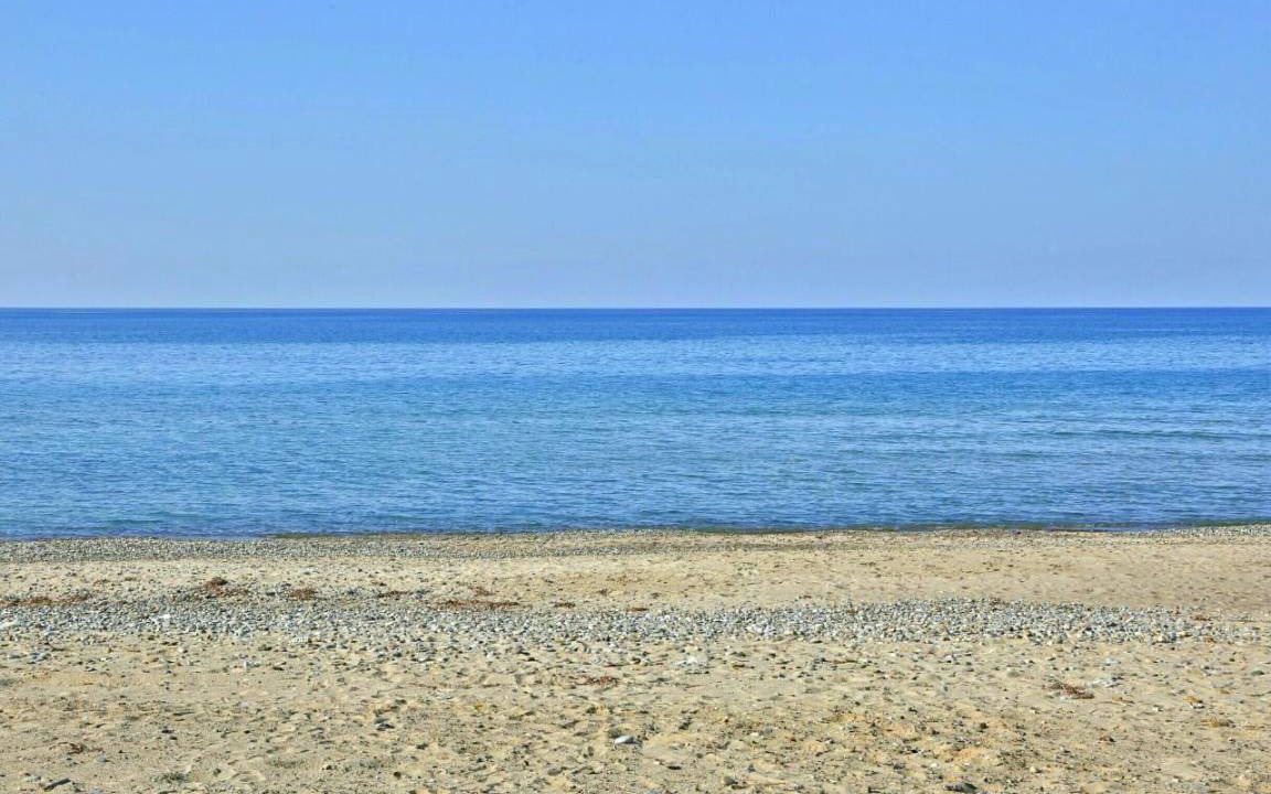 Photo of Others in Solfarelli