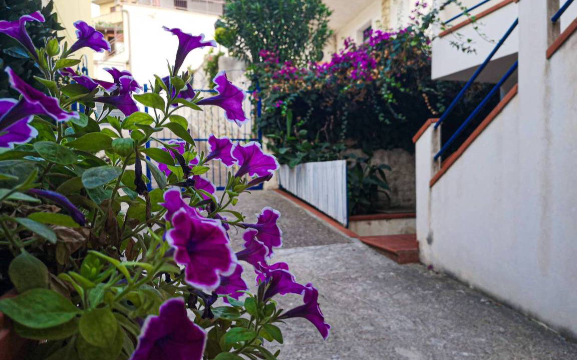Photo of Others in Alcamo Marina