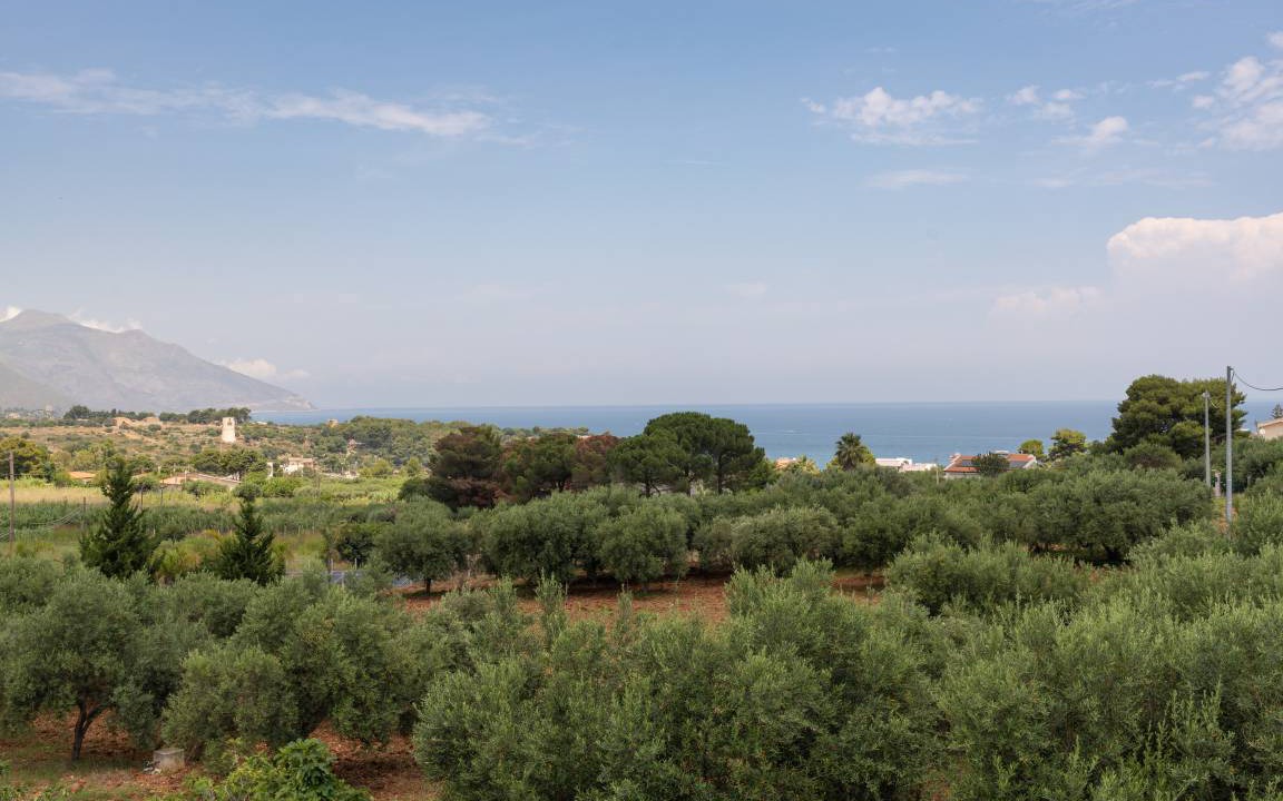 Photo of Others in Scopello