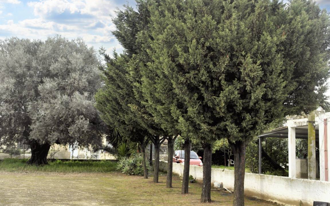 Photo of Others in Vittoria