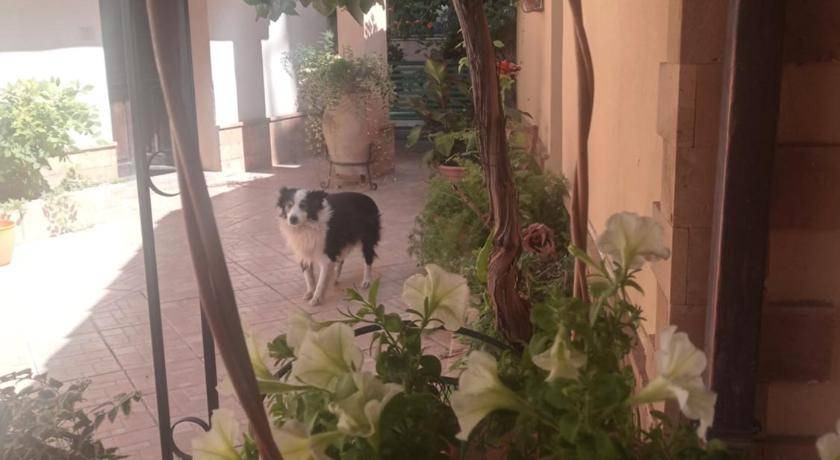 Photo of Others in Piazza Armerina