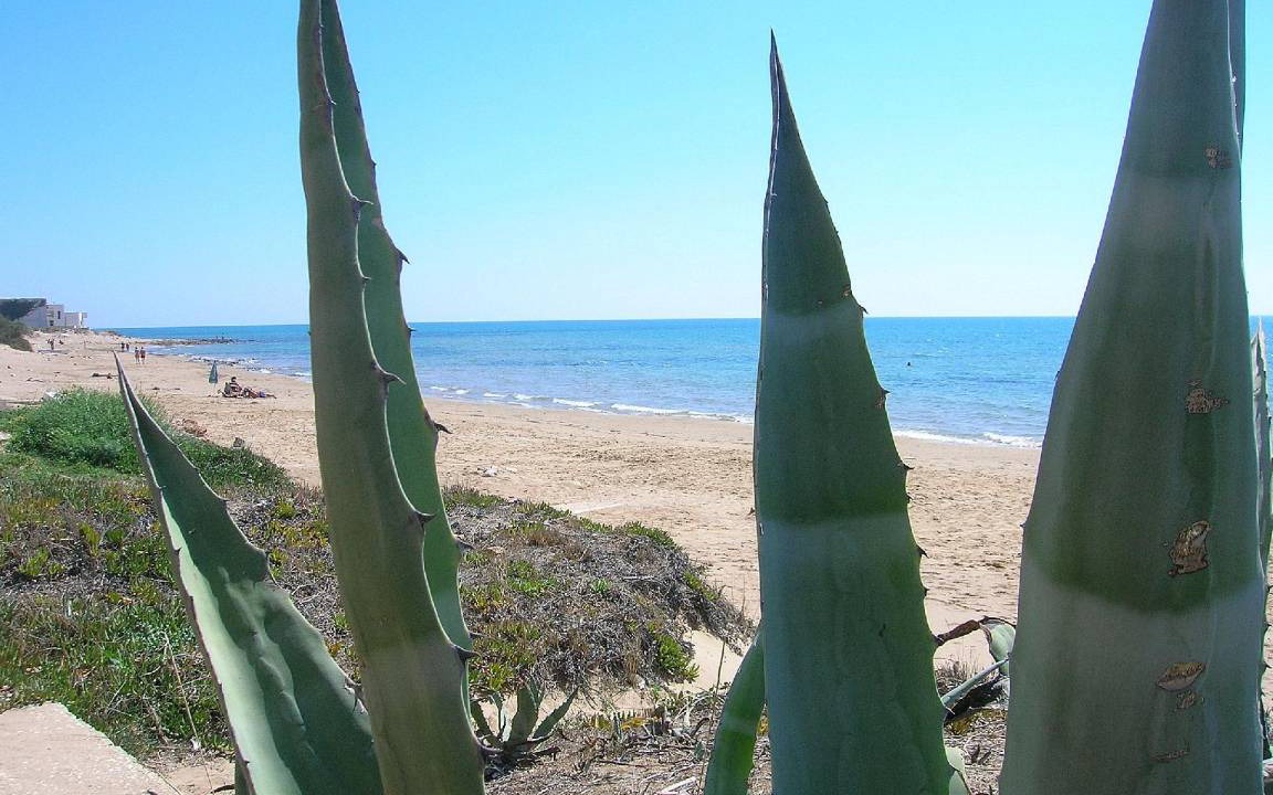 Photo of Others in Punta Secca
