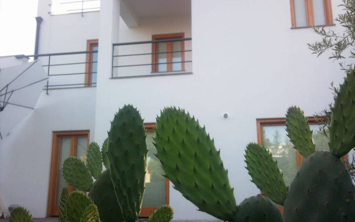 Photo of Others in Torre Colonna-sperone