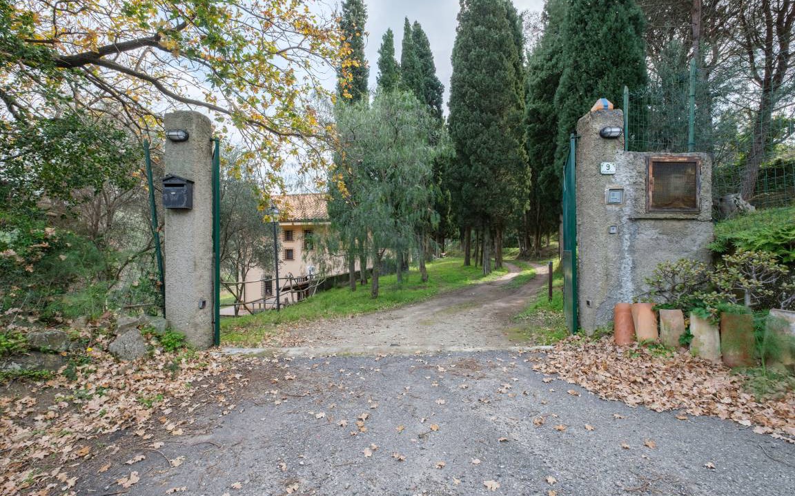 Photo of Others in Province of Messina