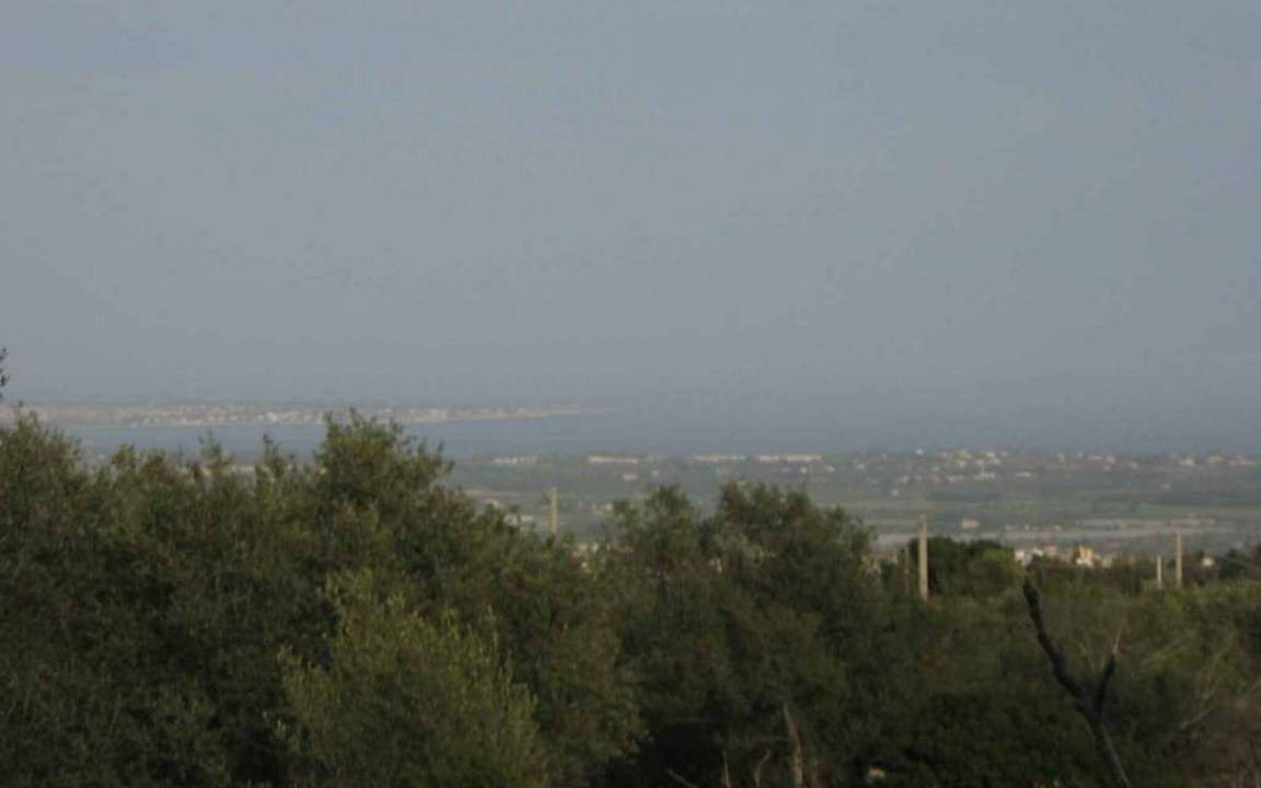 Photo of Others in Noto