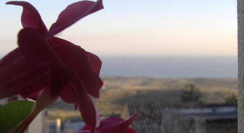 Photo of Others in Agrigento