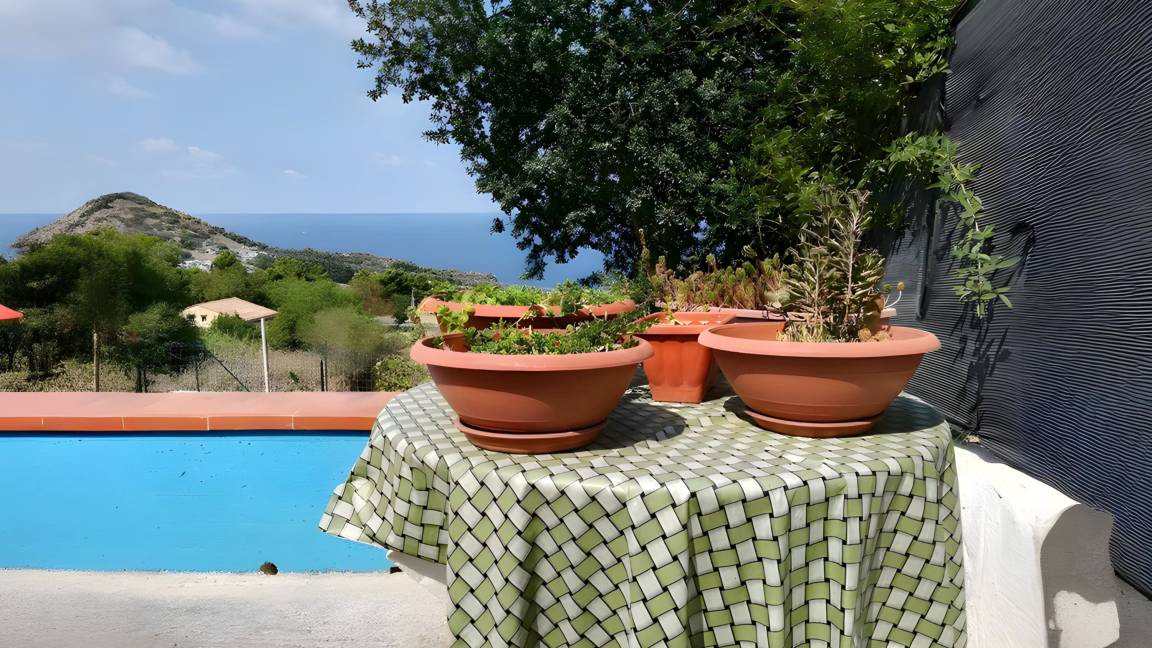 Photo of Others in Scopello