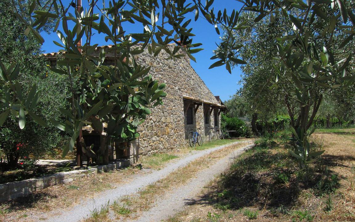 Photo of Others in Collesano