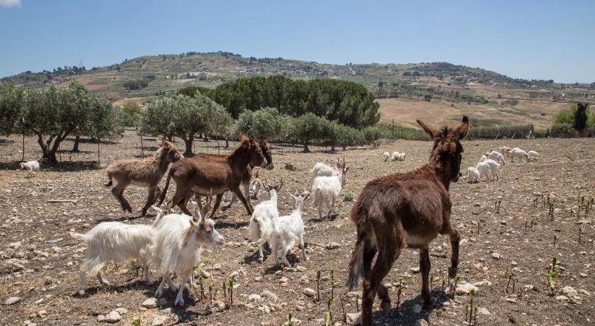 Photo of Others in Agrigento