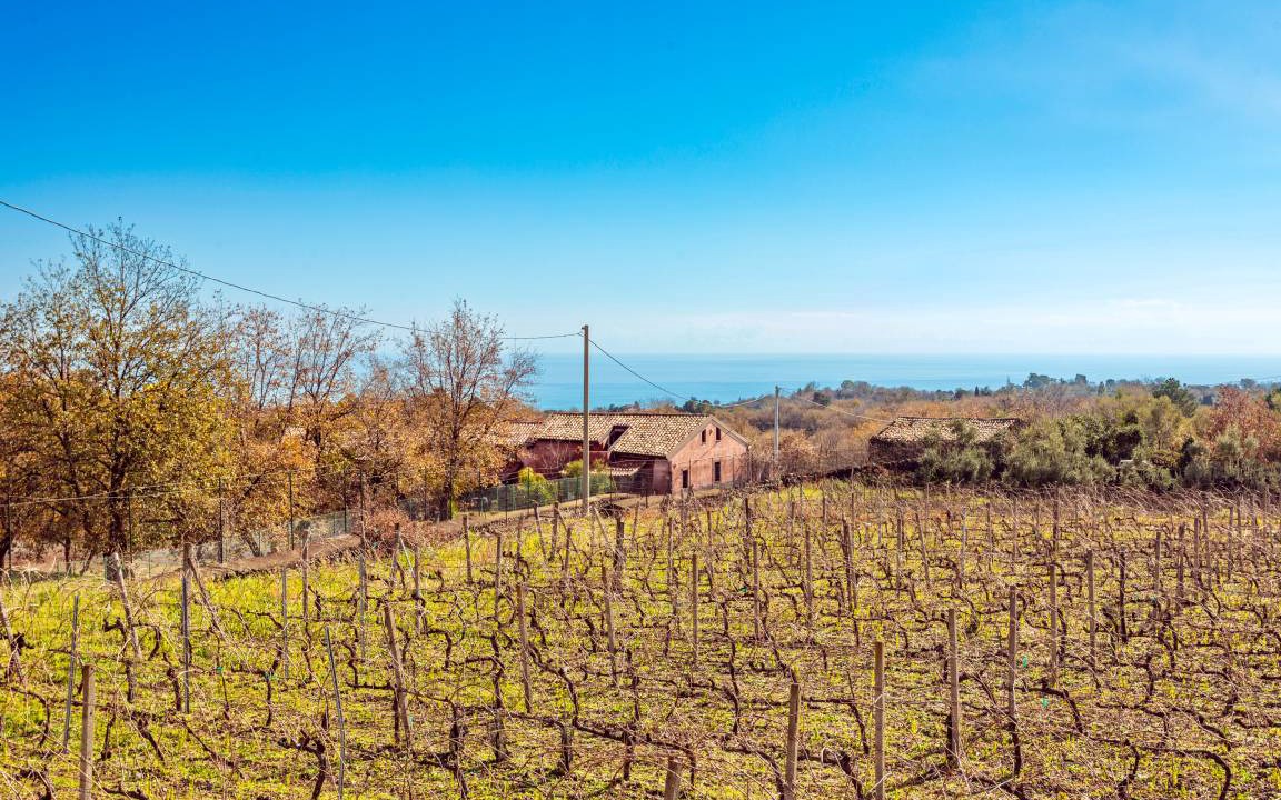 Photo of Others in Piedimonte Etneo