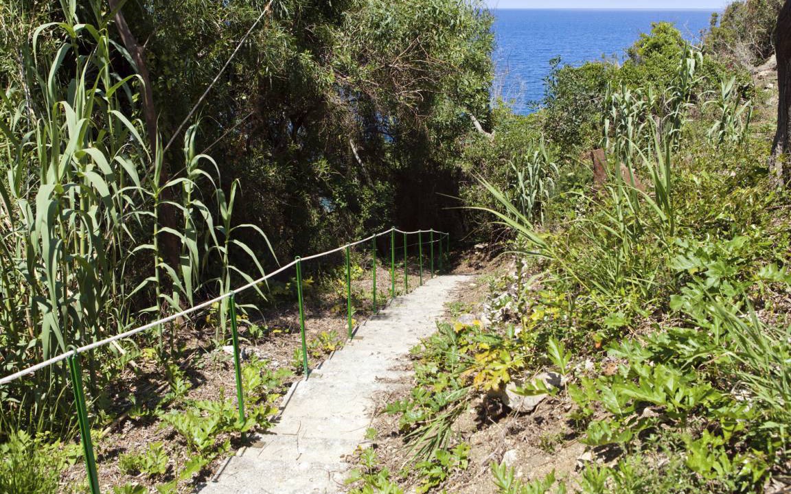 Photo of Others in Scopello