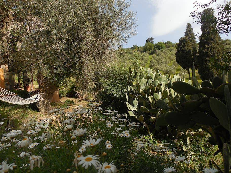 Photo of Others in Geraci Siculo