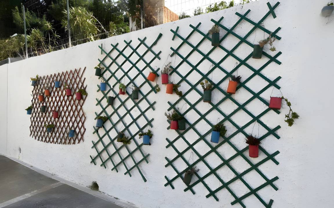 Photo of Others in Scopello