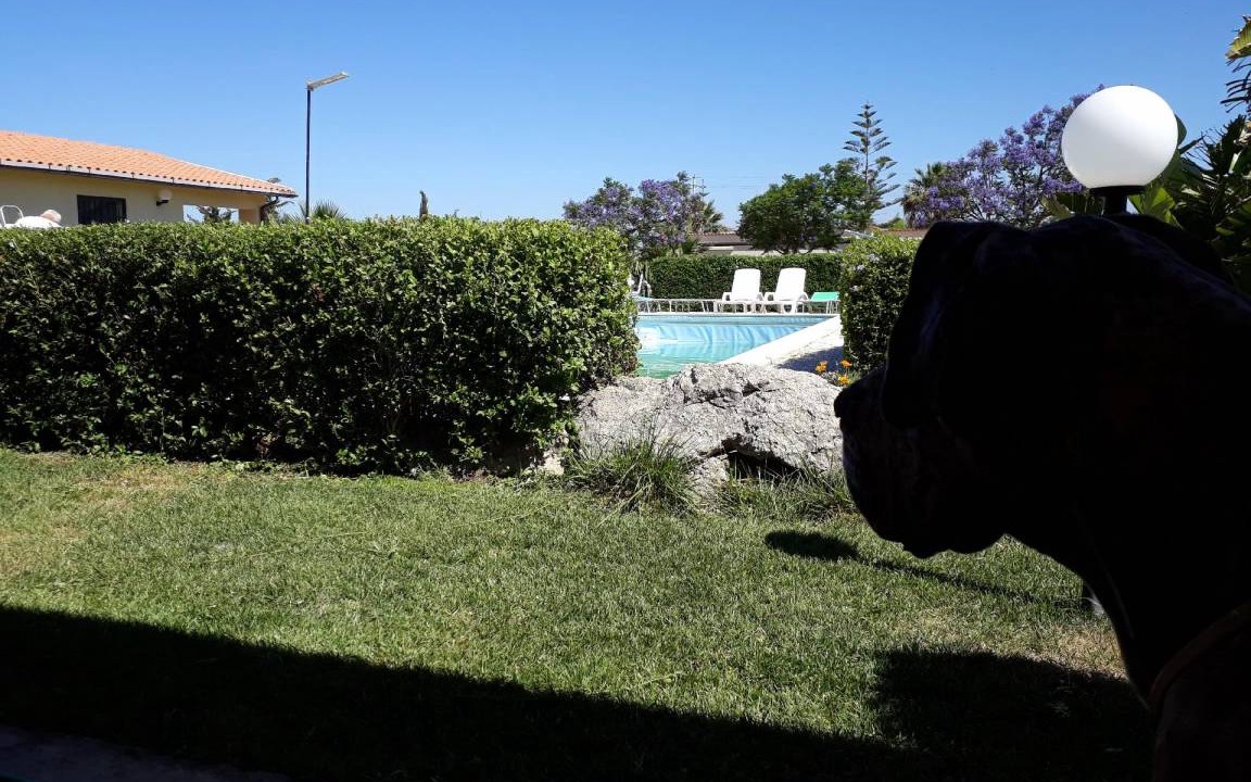 Photo of Others in Cattolica Eraclea