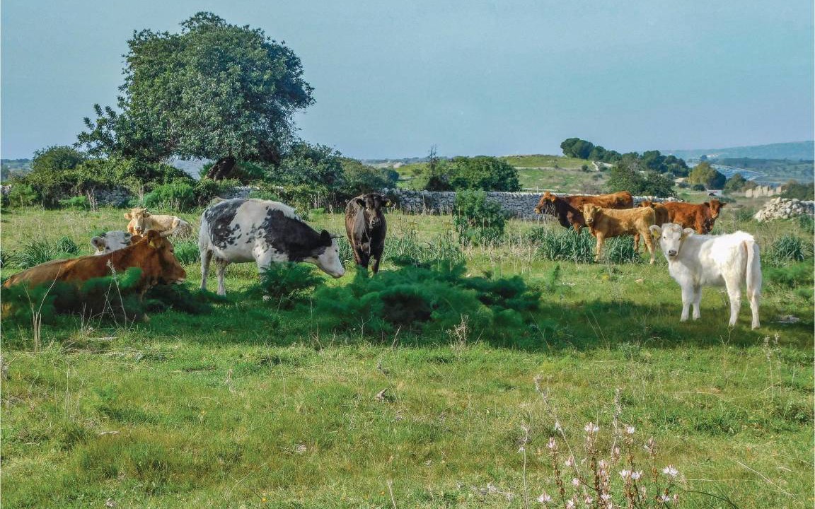 Photo of Others in Chiaramonte Gulfi