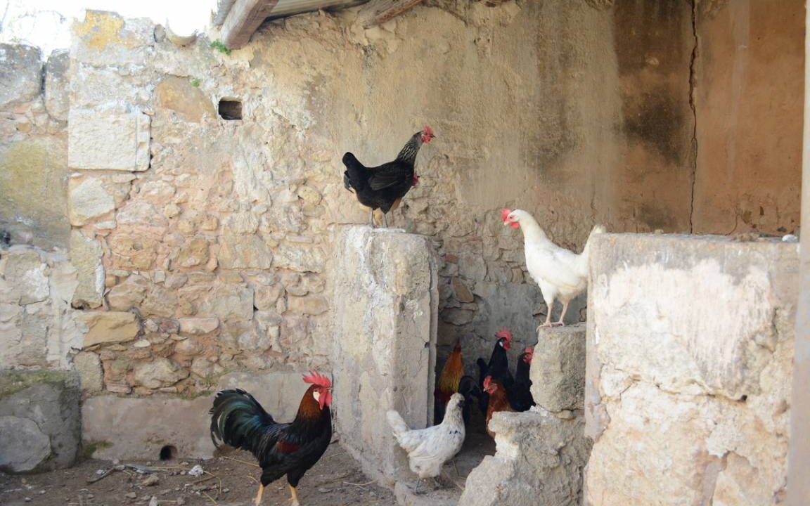 Photo of Others in Vittoria