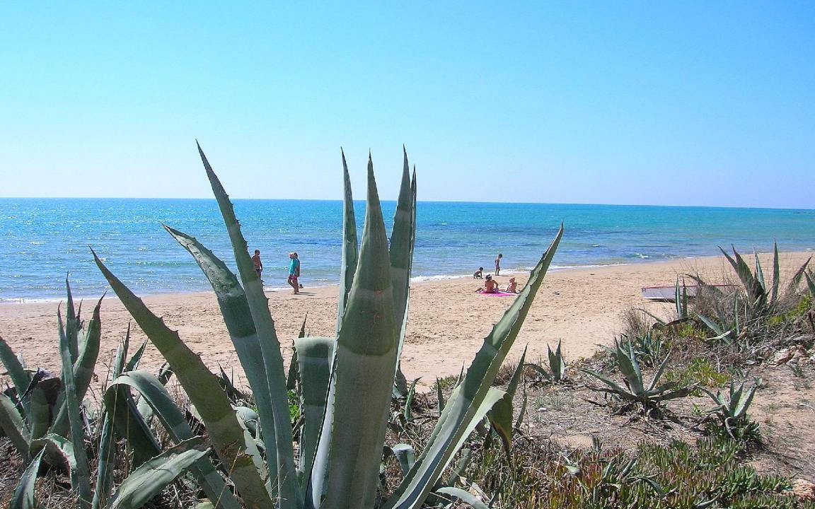 Photo of Others in Punta Secca