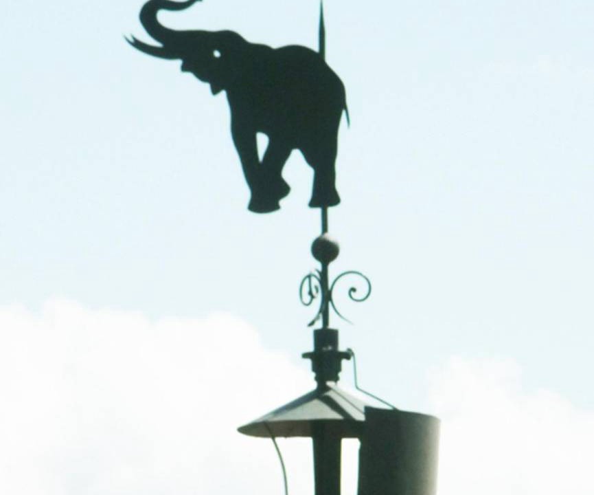 Photo of Others in Porticello