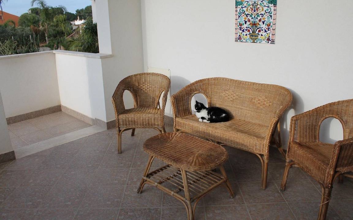 Photo of Others in Marsala