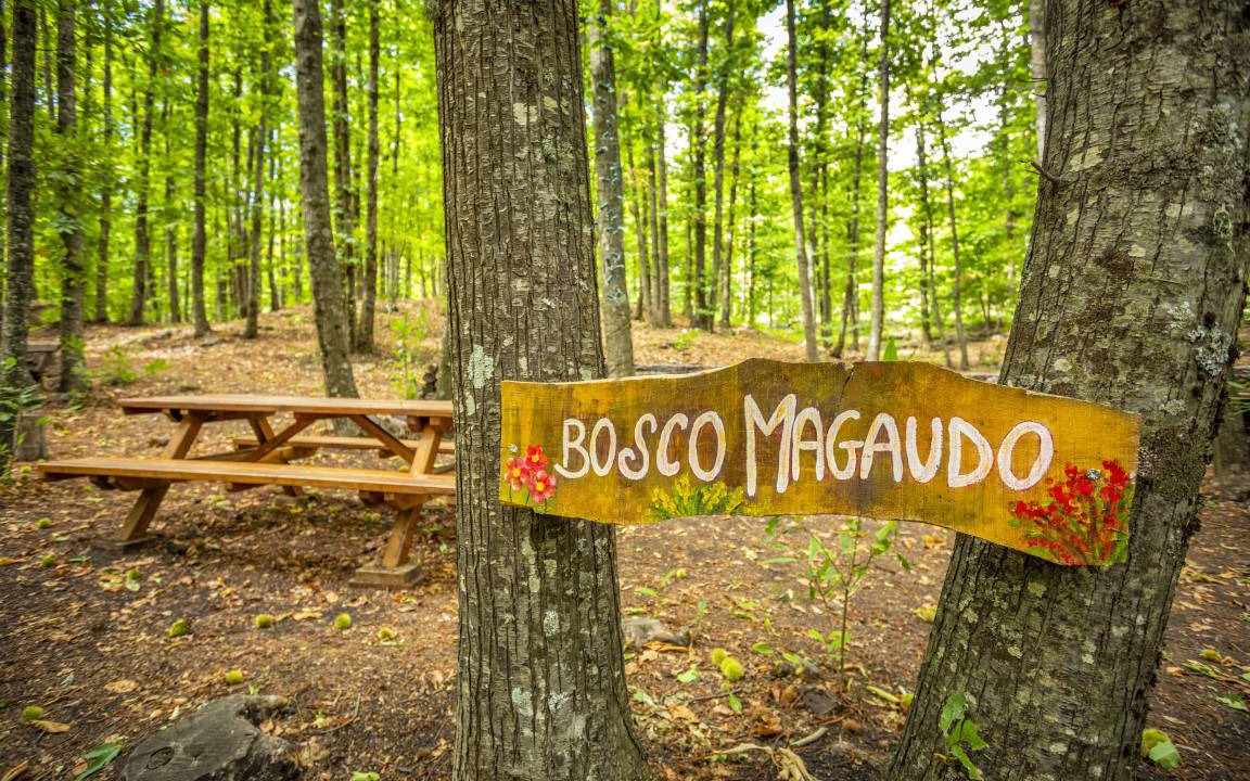 Photo of Outdoor in Linguaglossa