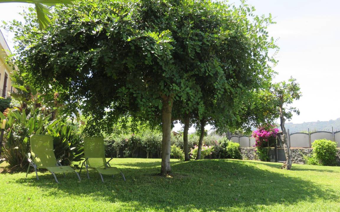 Photo of Outdoor in Santa Tecla