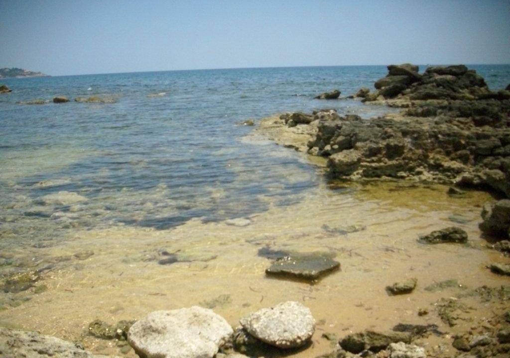 Photo of Others in Punta Milocca