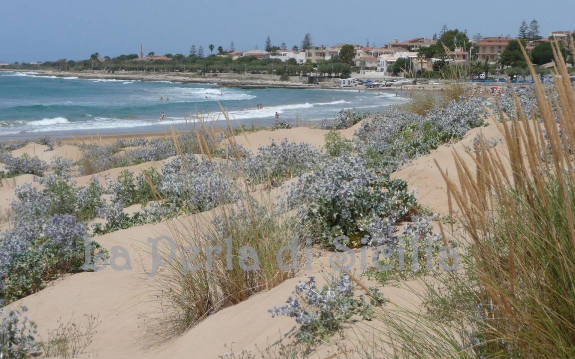 Photo of Others in Marina di Modica