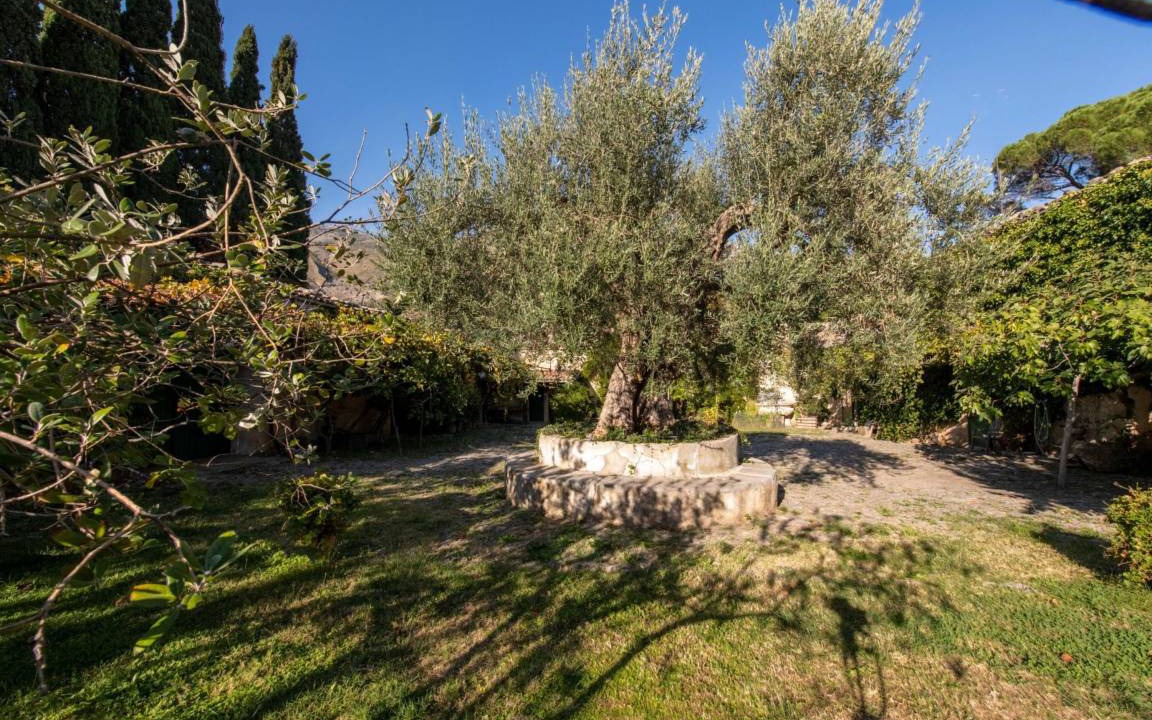 Photo of Others in Scillato