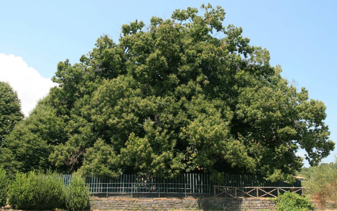 Photo of Outdoor in Coste