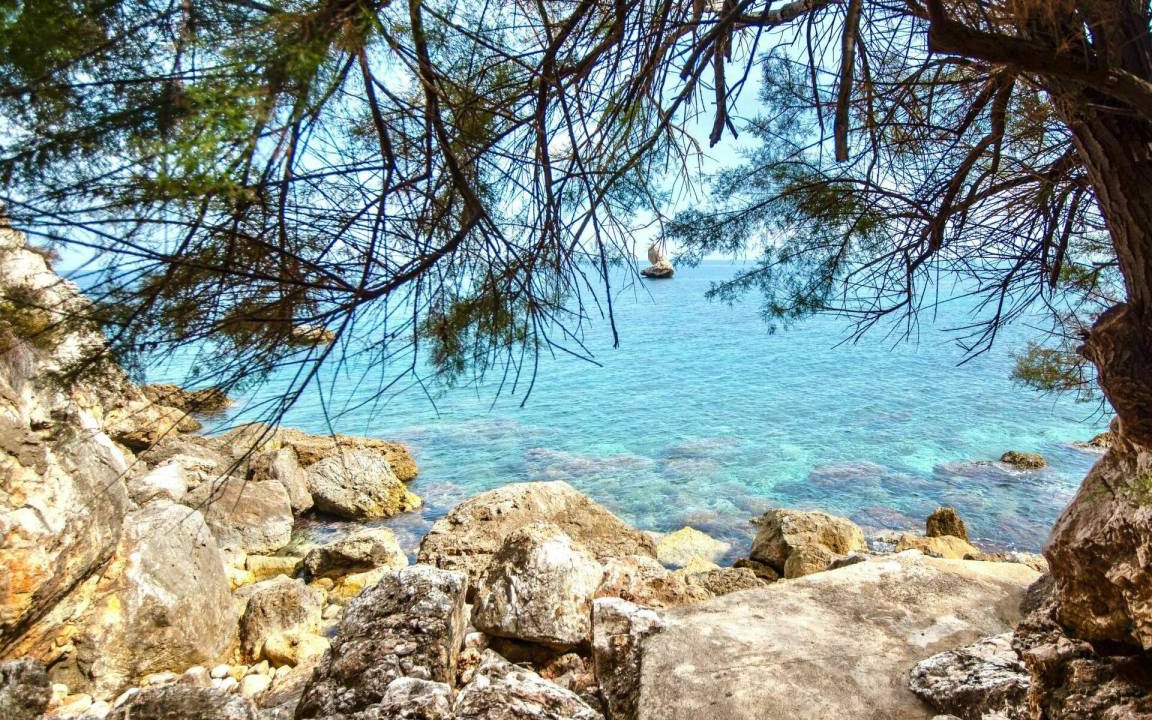 Photo of Others in Scopello