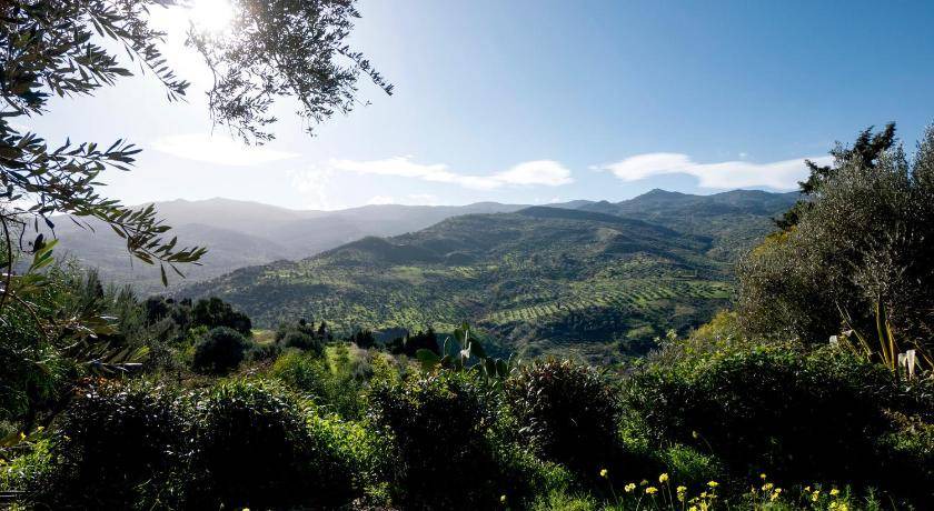 Photo of Others in Pettineo