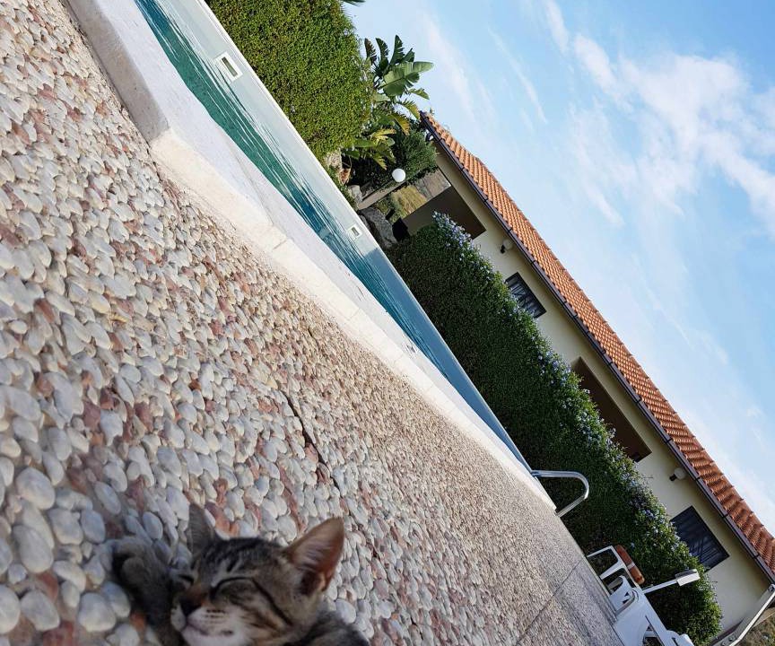 Photo of Others in Cattolica Eraclea