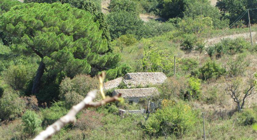 Photo of Others in Gangi