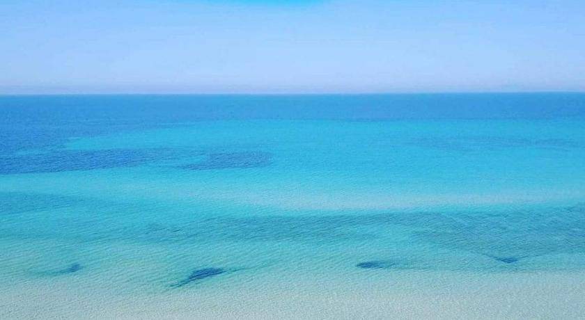Photo of Others in Marsala
