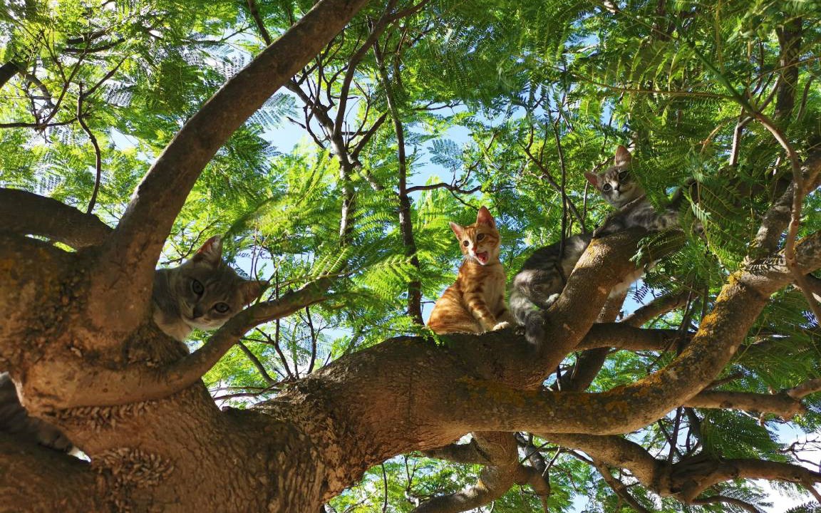 Photo of Others in Cattolica Eraclea