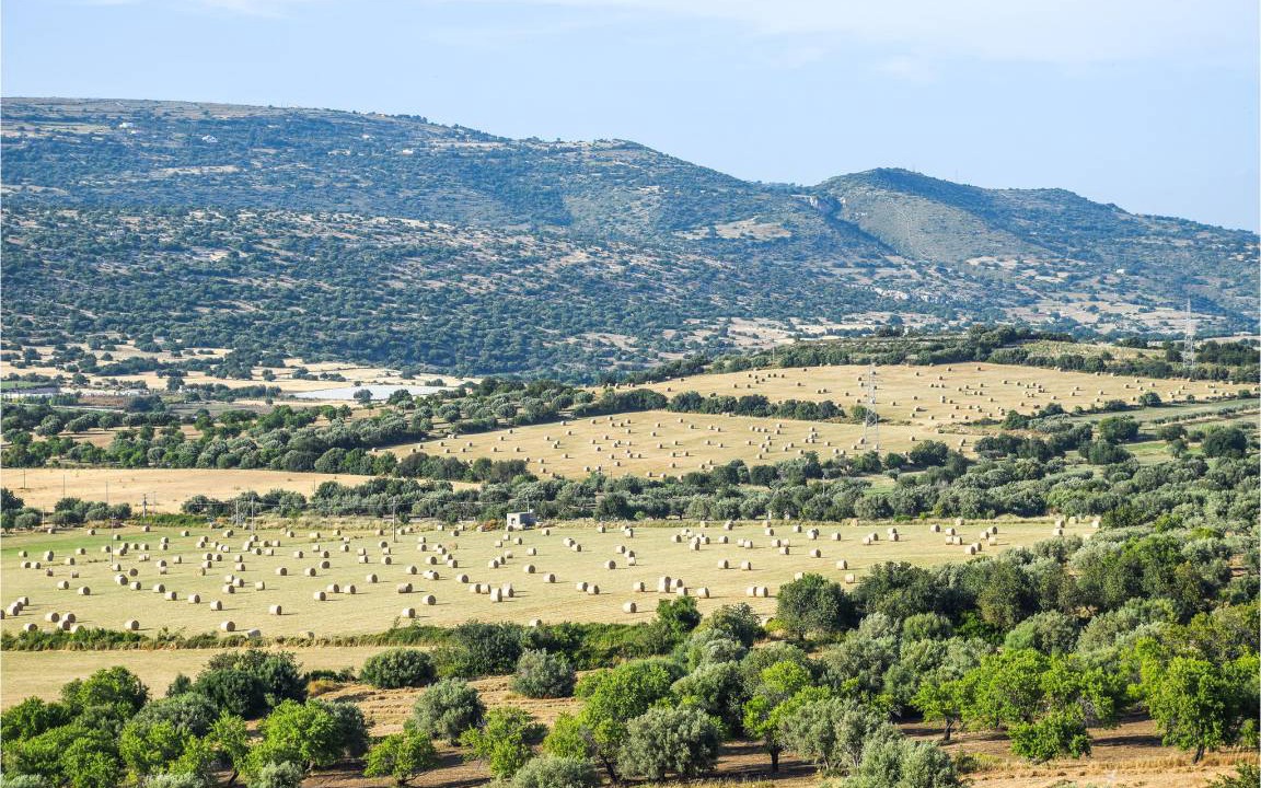 Photo of Others in Ispica