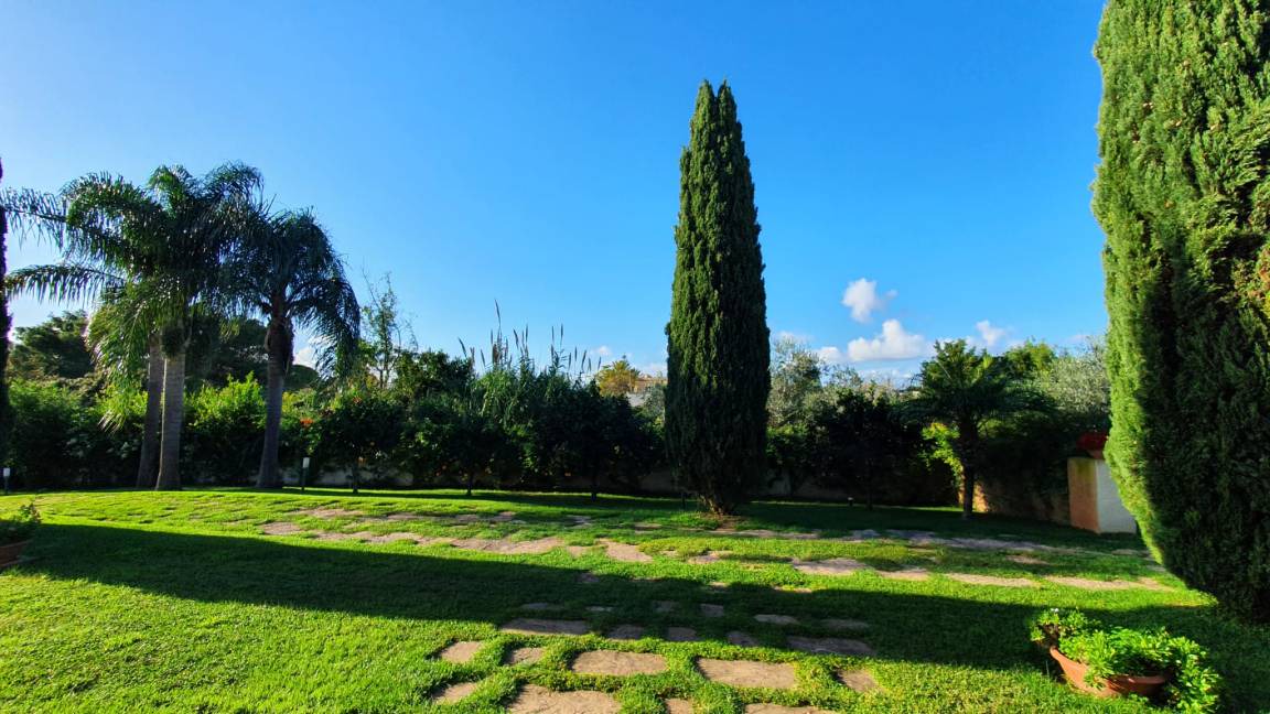 Photo of Others in Marsala