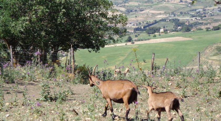 Photo of Others in Gangi