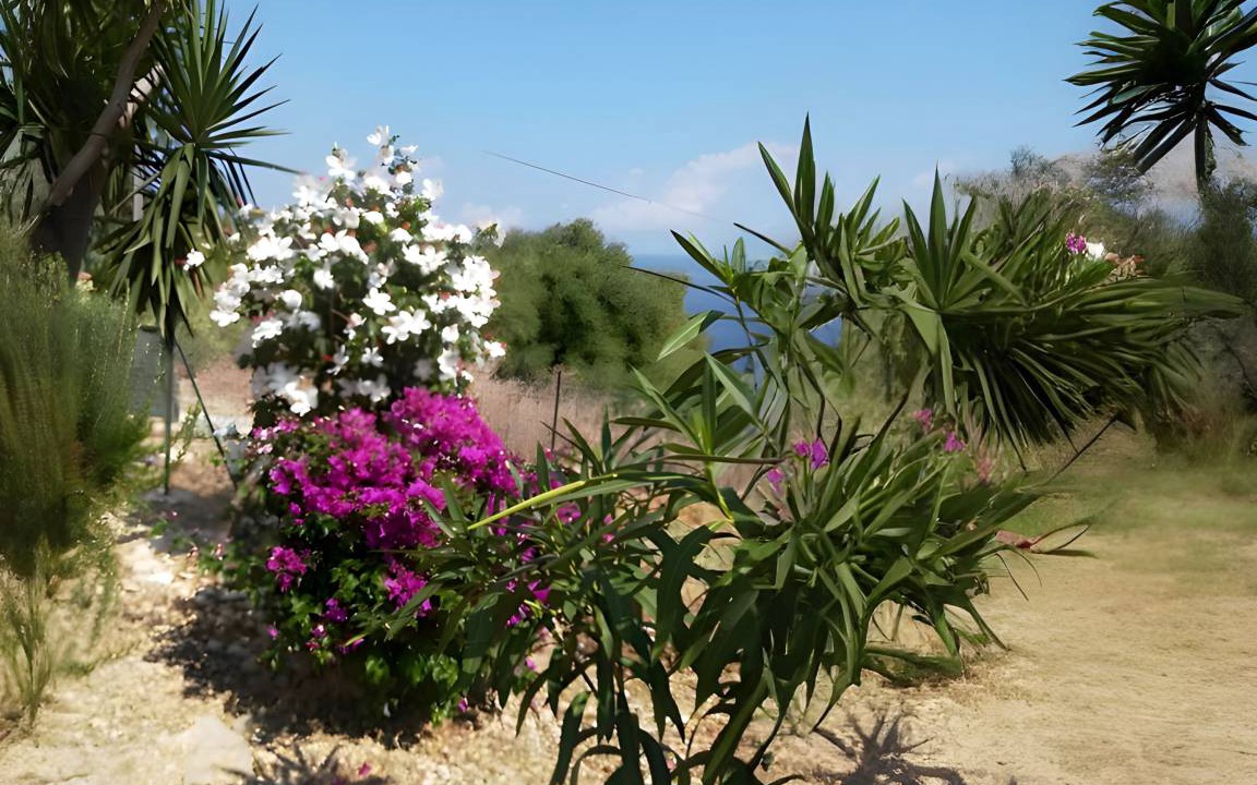 Photo of Others in Scopello