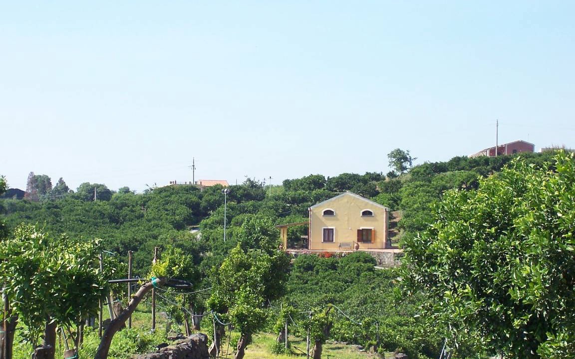 Photo of Others in Mascali