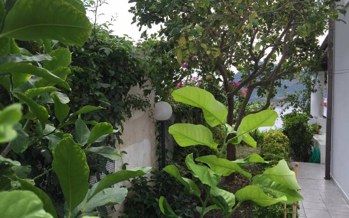 Photo of Others in Canneto