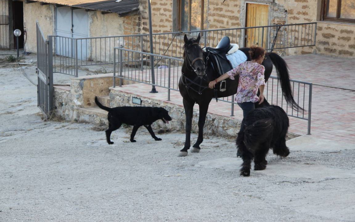 Photo of Others in Sant'Angelo Muxaro