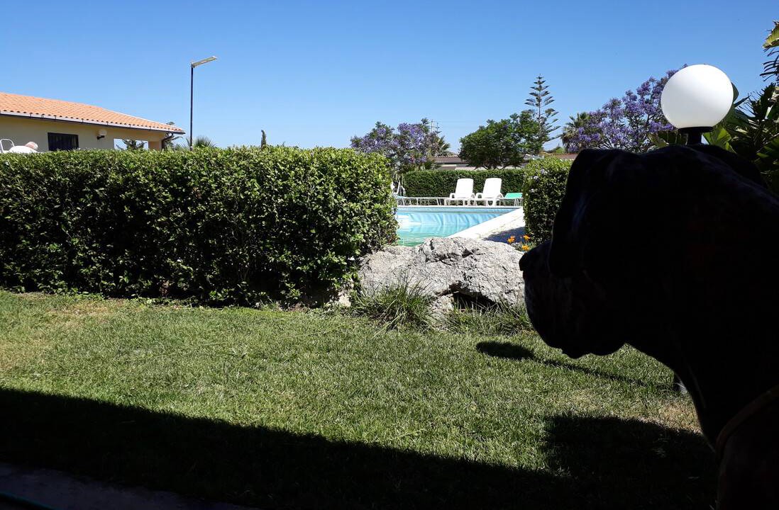 Photo of Others in Cattolica Eraclea