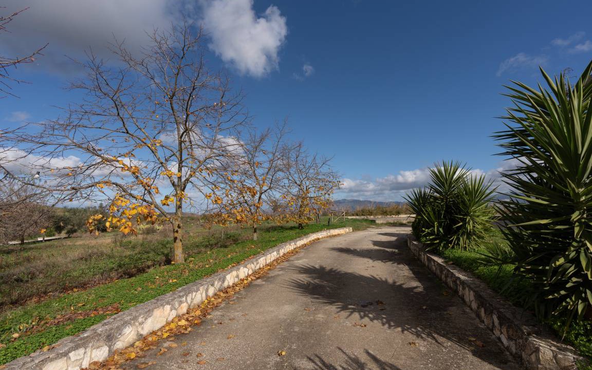 Photo of Others in Camporeale