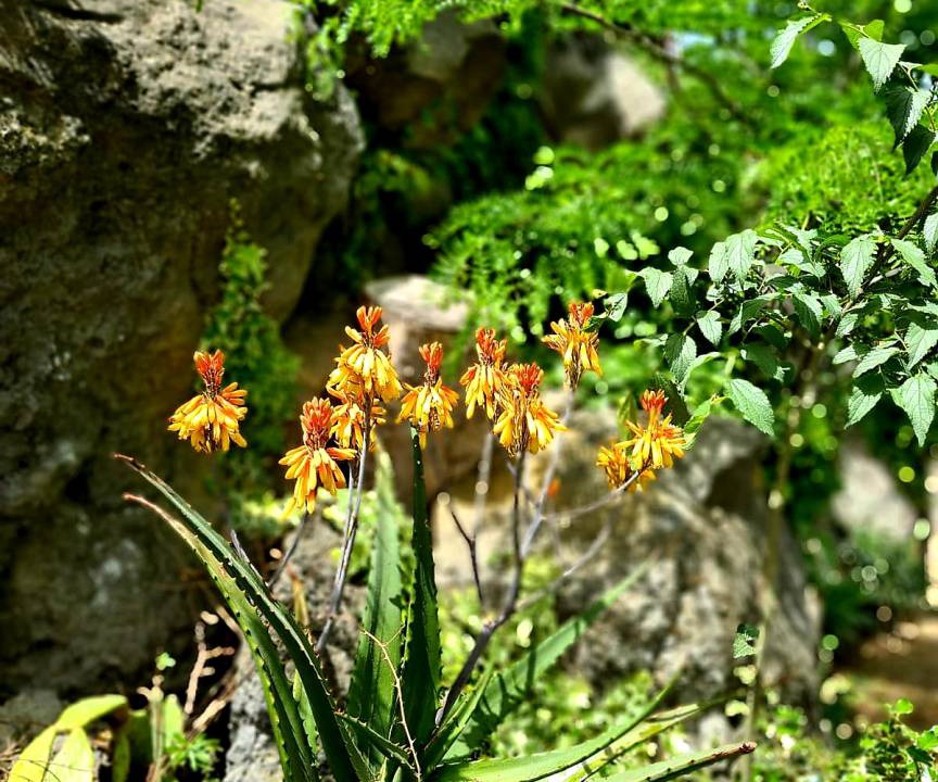 Photo of Others in Giarre