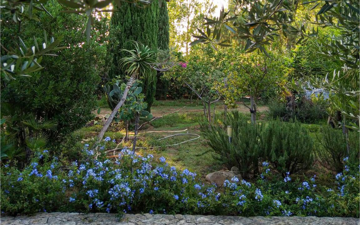 Photo of Others in Contrada Fiori Sud