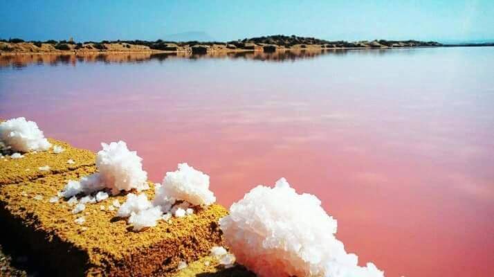 Photo of Others in Marsala