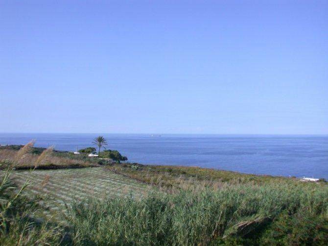 Photo of Others in Kamma